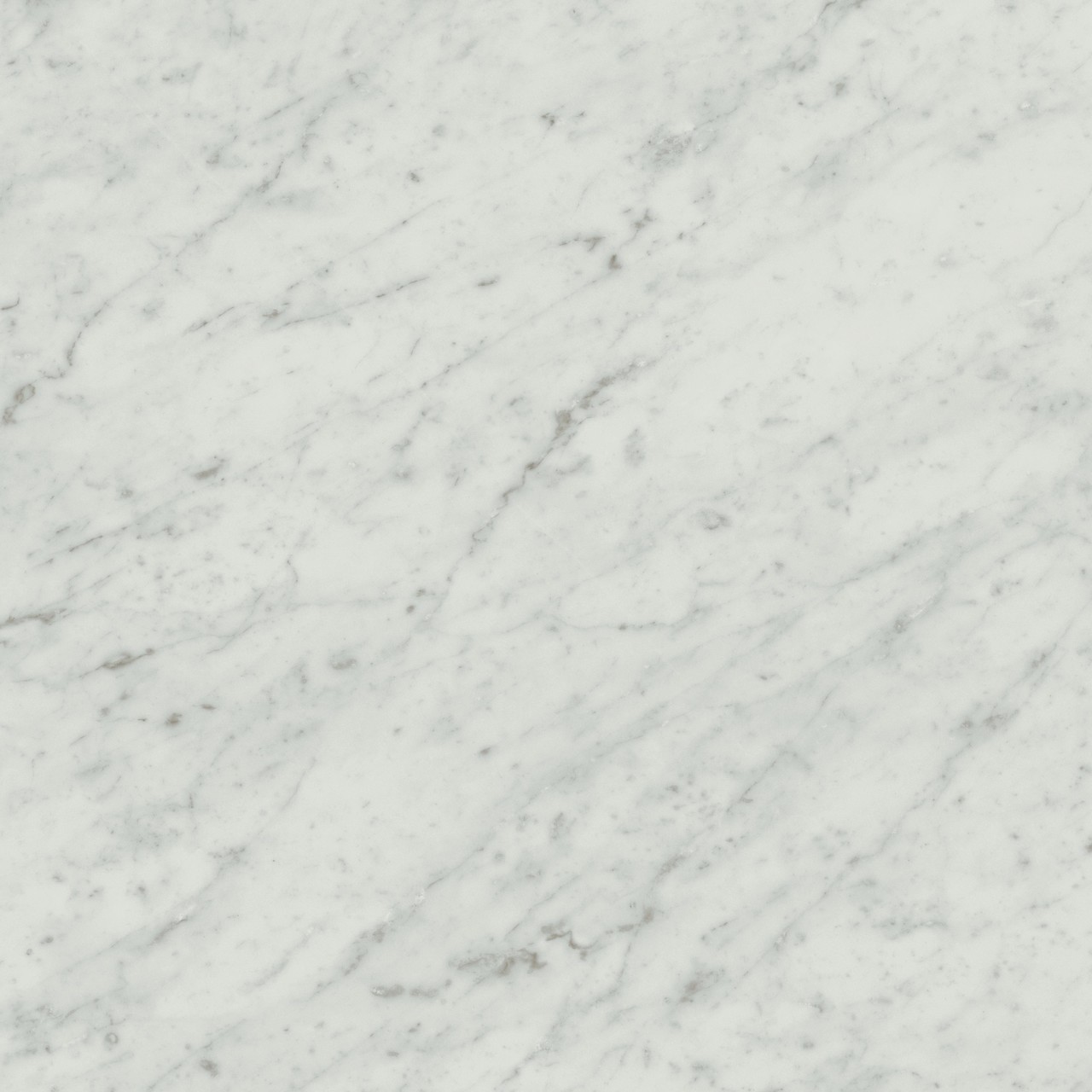 Exigo Carrara Lappato 60×60 Rettificato