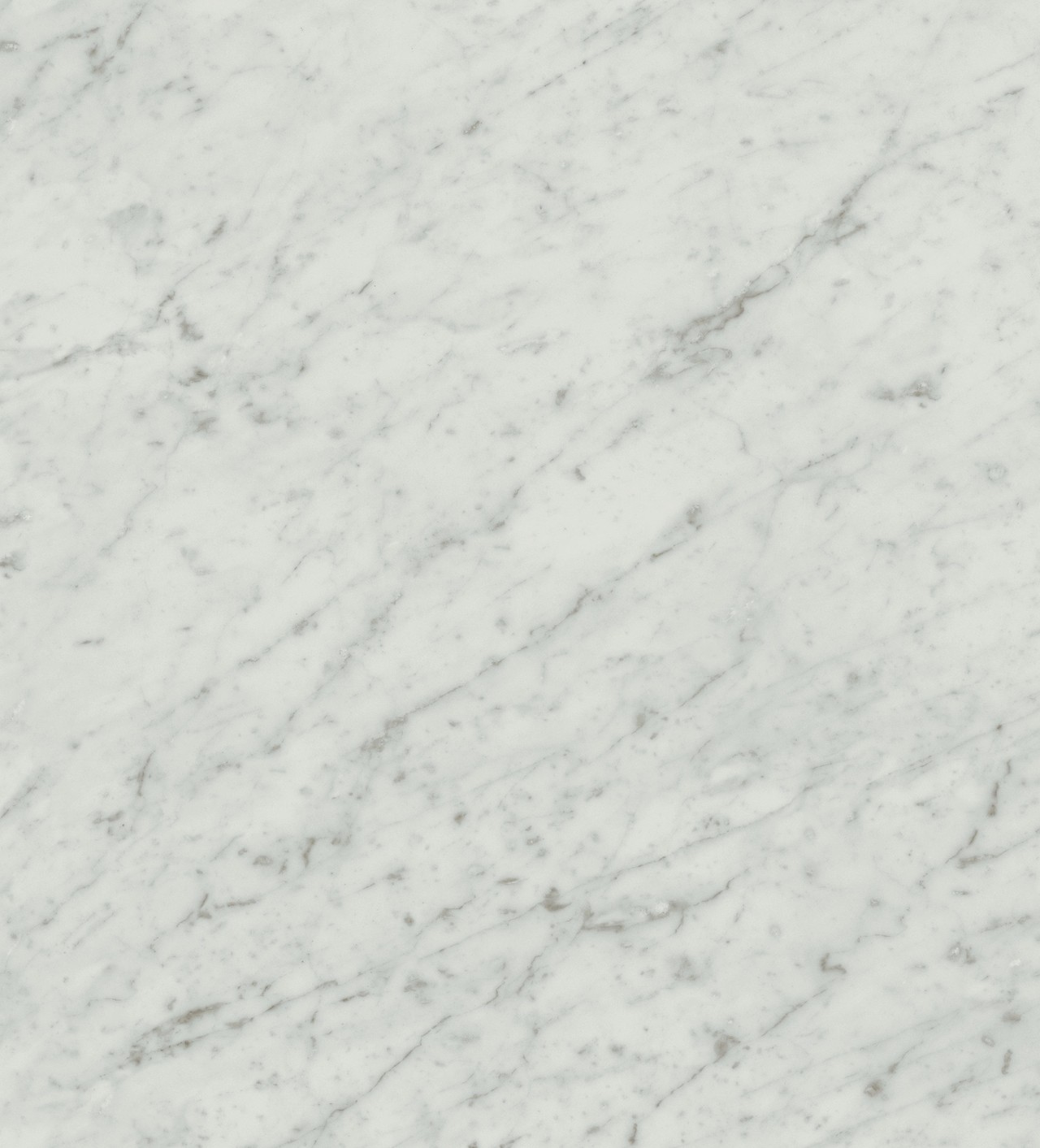 Exigo Carrara 60×60 Rettificato